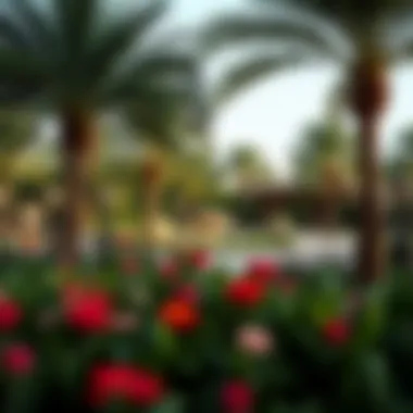Magnificent Exploring the Allure of Beautiful Gardens in Dubai