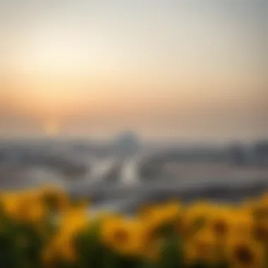 Modern infrastructure connecting Al Ain and Abu Dhabi