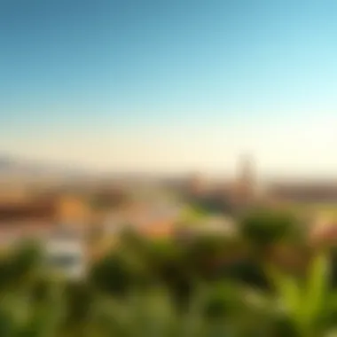 A panoramic view of Al Ain's lush landscape