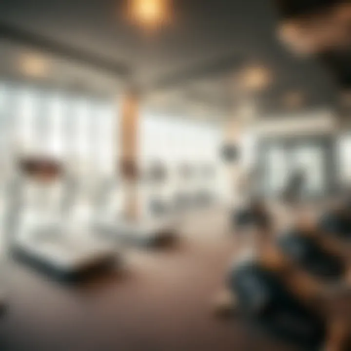 State-of-the-Art Fitness Facilities Fitness facilities inside Al Barsha Community Center