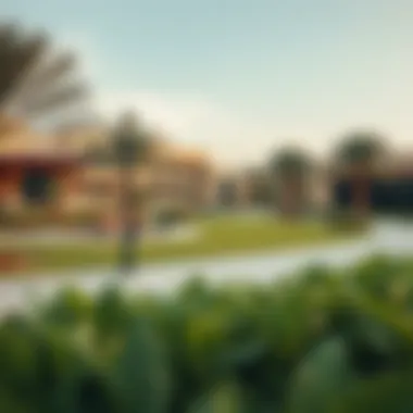 Recreational Parks in Al Khalidiyah Recreational parks in Al Khalidiyah offering green spaces for residents.