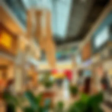 Vibrant retail spaces within the mall