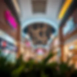 Comprehensive Insights into Dubai’s Outlet Scene Introduction