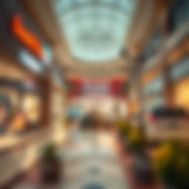 Notable Comprehensive Insights into Dubai’s Outlet Scene Notable Comprehensive Insights into Dubai’s Outlet Scene