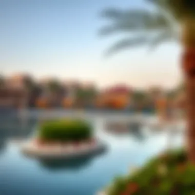 Amenities Surrounding Damac Lagoons Illustration of key amenities surrounding Damac Lagoons