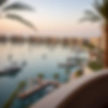 Investment Potential at Damac Lagoons Diagram depicting investment potential at Damac Lagoons