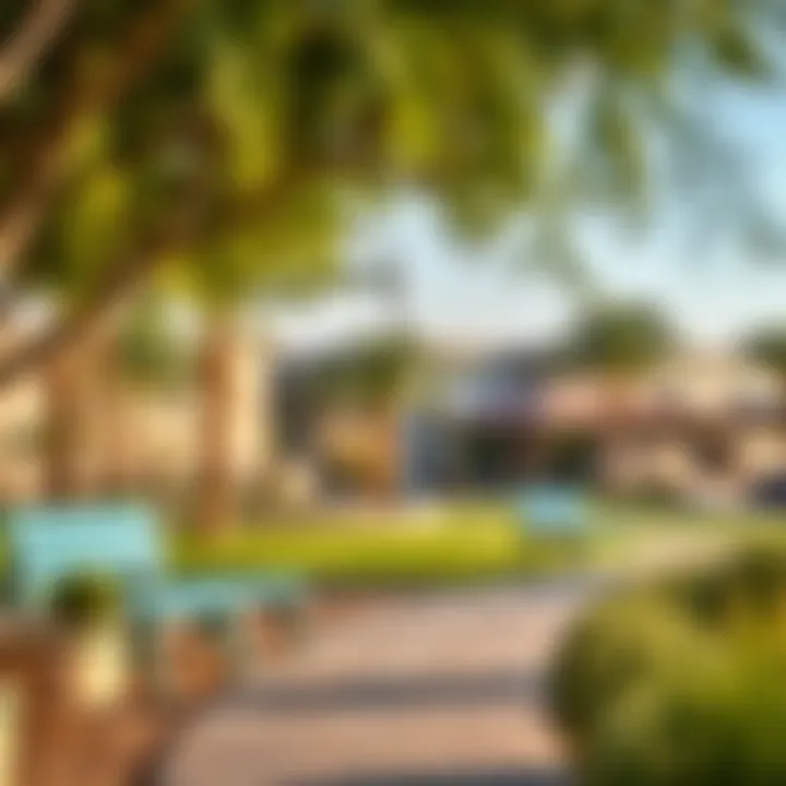 Community amenities in Al Ain Springs, highlighting recreational areas
