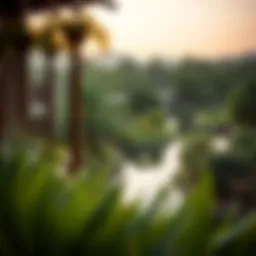 Scenic view of Al Ain Springs showcasing lush greenery