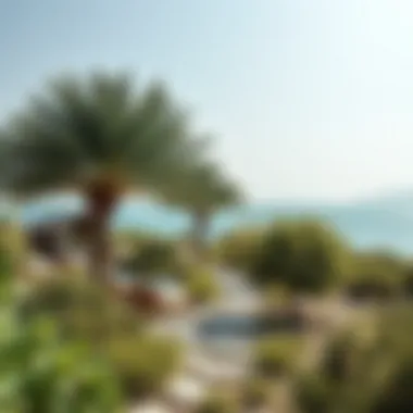 Serene nature spot on Al Hudayriat Island