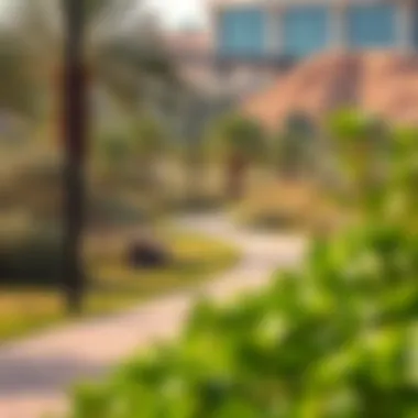Scenic landscape of Al Twar Park with walking trails and lush vegetation, embodying urban greenery
