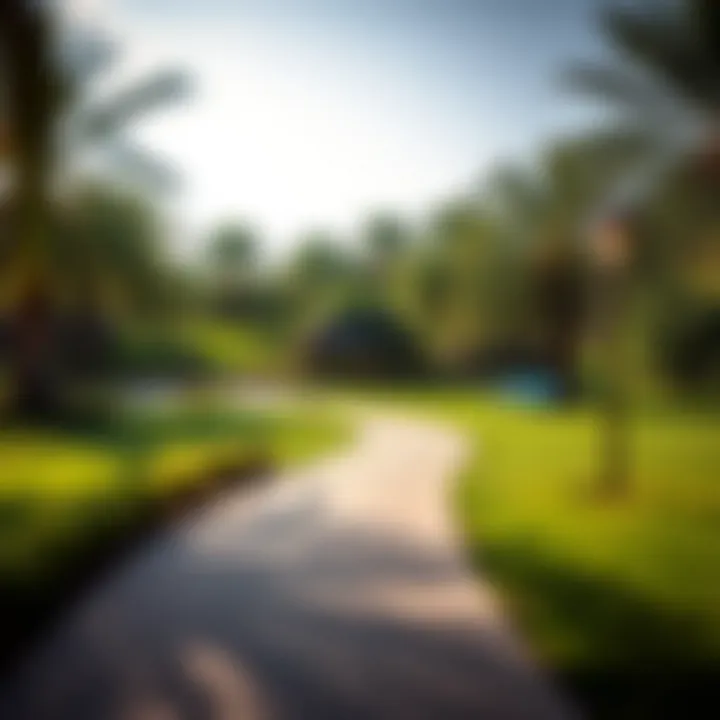 A tranquil view of Al Twar Park showcasing the lush greenery and peaceful walking paths