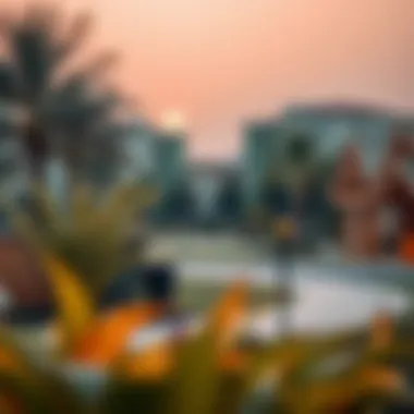 A tranquil neighborhood park in a Dubai residential area