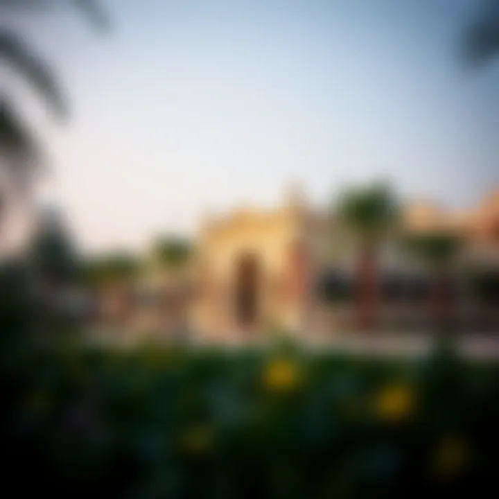 Exploring Dubai's Recreational Spaces Summary