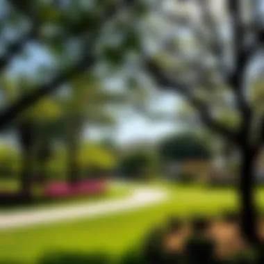 Recreational Areas in جميرا فيلج سيركل Lush green parks and recreational areas in جميرا فيلج سيركل