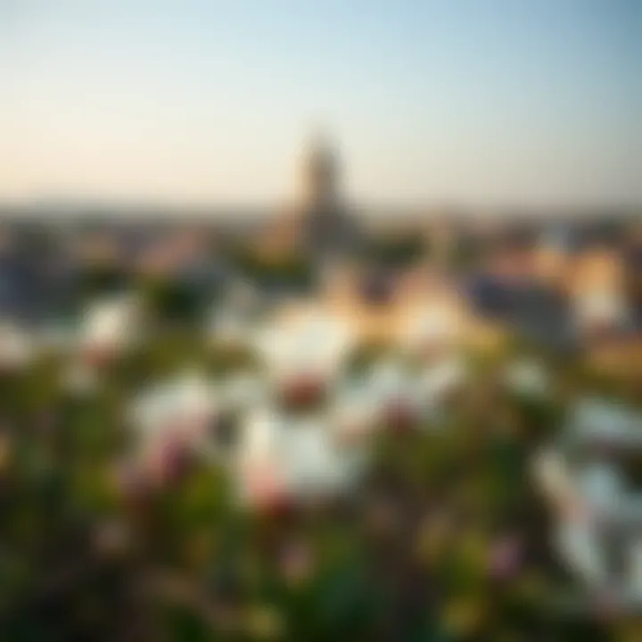 A panoramic view of the Yas Acres community with magnolias integrated into the surroundings.