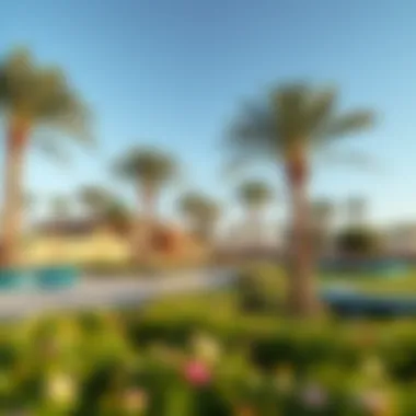 The vibrant community park in the heart of Manzo Khalifa City