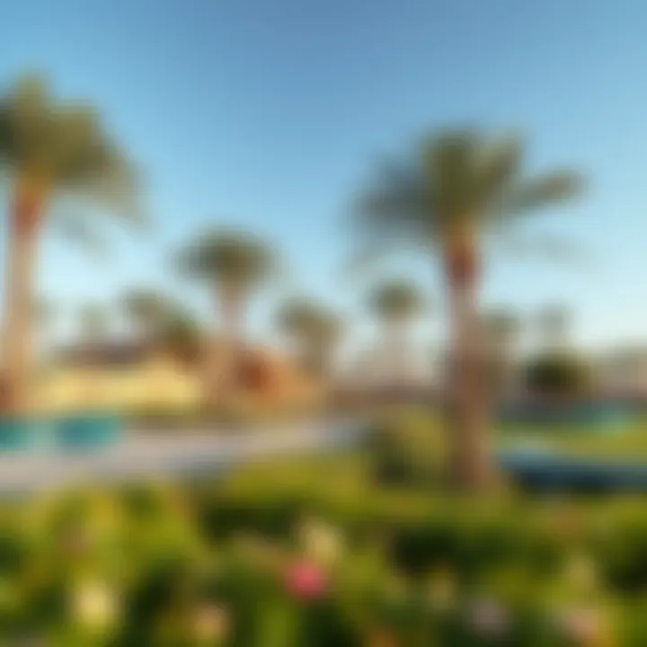 The vibrant community park in the heart of Manzo Khalifa City