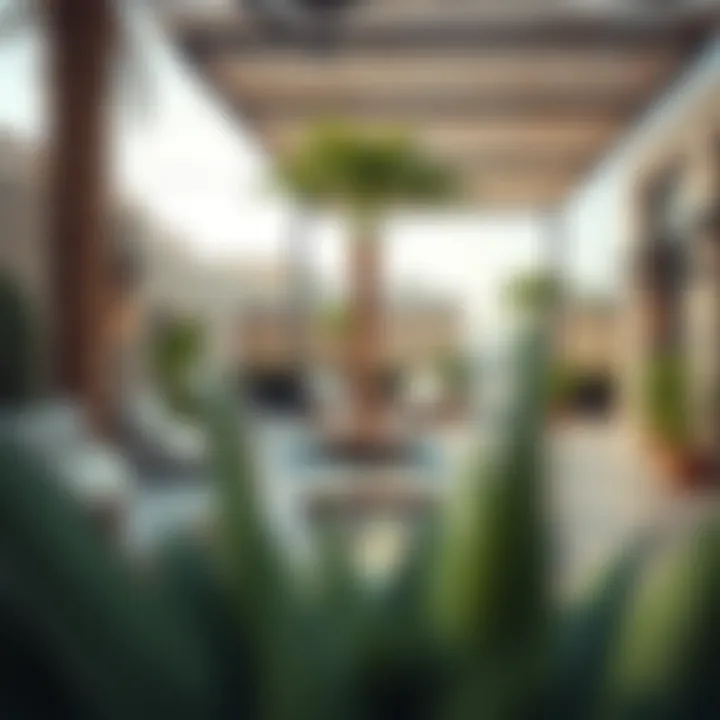 Relaxing community spaces in Muwailih