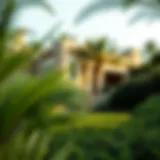 Lush greenery of Nad Al Sheba Mini Forest