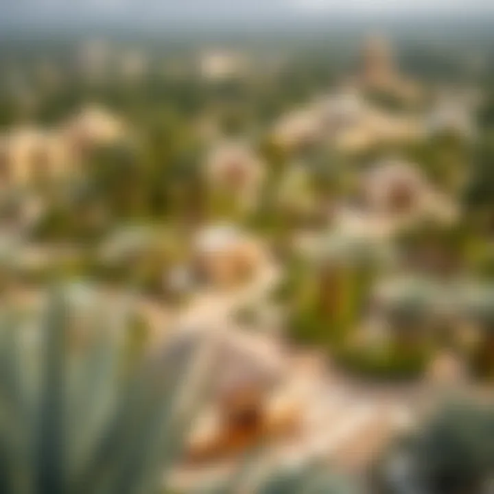 Panoramic view of Nad Al Sheba Mini Forest