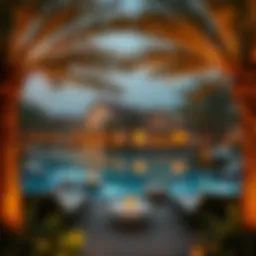 Lush palm oasis in Ajman