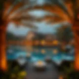 The Serenity of Palm Oases in Ajman Lush palm oasis in Ajman