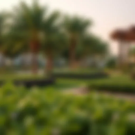 Lush Green Park in Park Greens A lush green park in Park Greens community showcasing modern landscaping