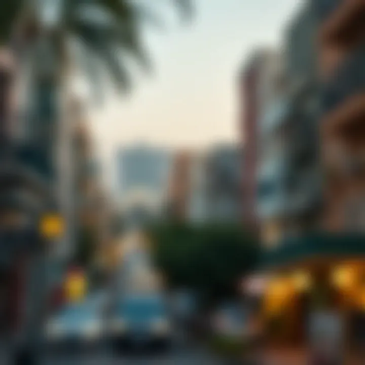 Local insights of Al Rigga neighborhood