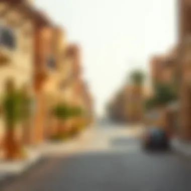 Vibrant neighborhood streets reflecting the essence of Bani Yas