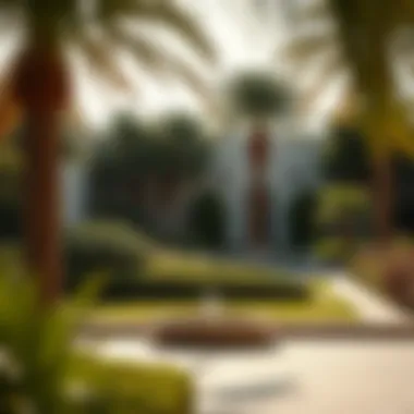 A serene garden in Al Ain, representing the city's natural beauty
