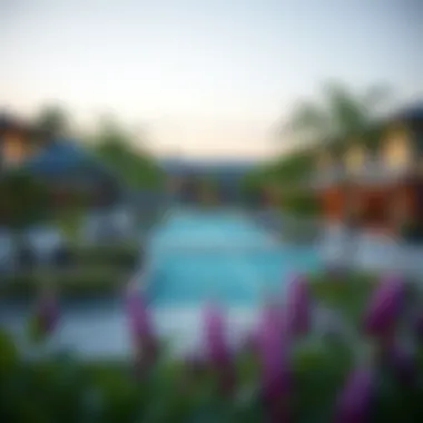 Community Amenities Overview Community amenities such as parks and recreational facilities in Discovery Gardens