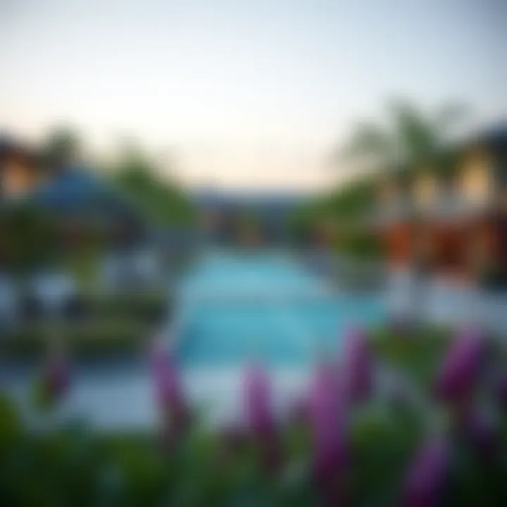 Community Amenities Overview Community amenities such as parks and recreational facilities in Discovery Gardens