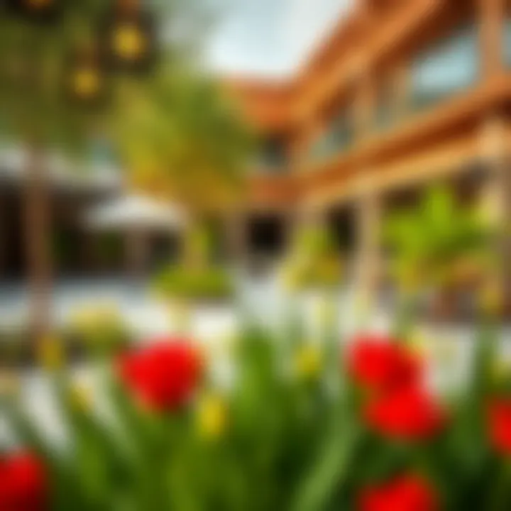 Vibrant community spaces and landscaping around Residence 9 JVC