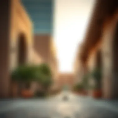 Exploring Salt Al Khawaneej: A Comprehensive Guide to Dubai's Unique Neighborhood Summary Exploring Salt Al Khawaneej: A Comprehensive Guide to Dubai's Unique Neighborhood Summary