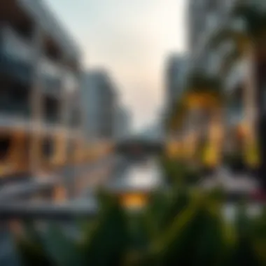 Amenities Designed for Modern Living Luxurious community amenities in Shawamekh City