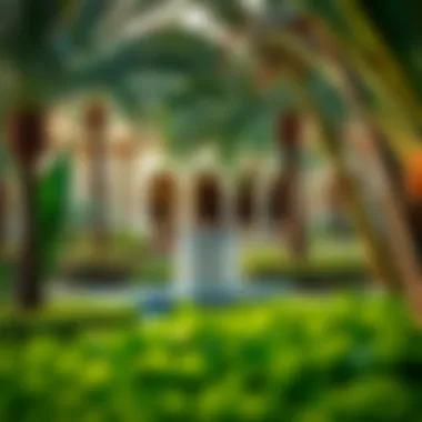 Notable Exploring the Allure of Beautiful Gardens in Dubai Notable Exploring the Allure of Beautiful Gardens in Dubai