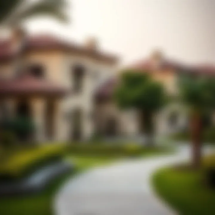 Charming neighborhood featuring traditional houses in Dubai