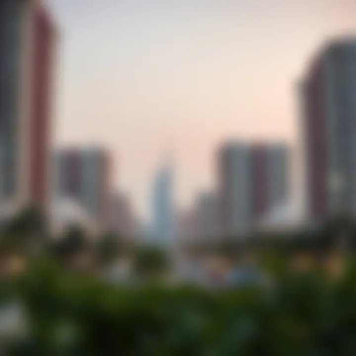 Investment potential in مجمع زايد مزهر