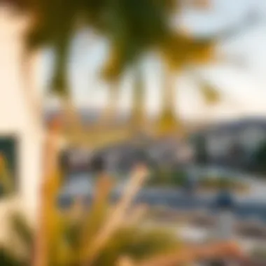 Panoramic view of the neighborhood surrounding the Elan floor plan