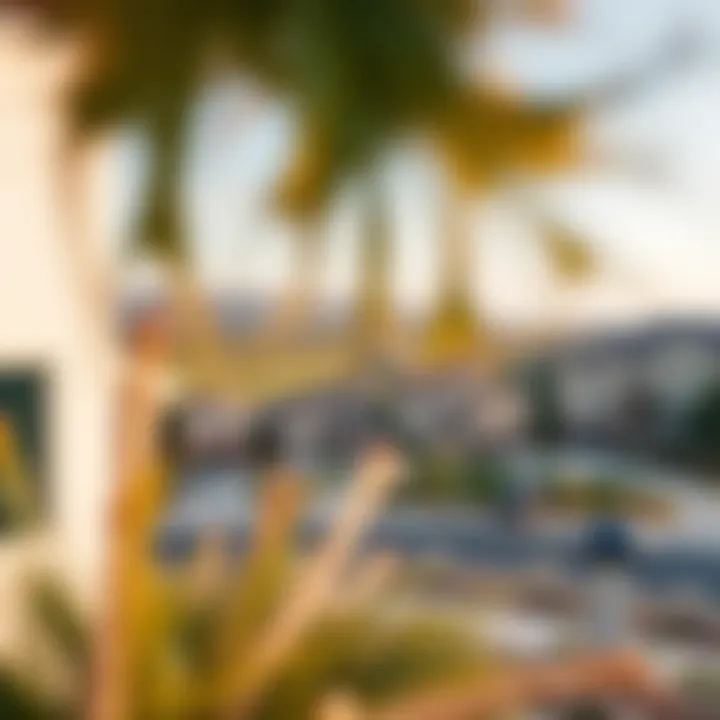 Panoramic view of the neighborhood surrounding the Elan floor plan