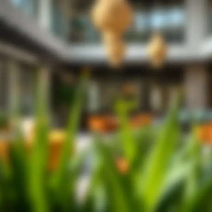 Welcoming communal areas in The Greens designed for family interactions and socializing