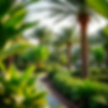 Beautiful greenery and environmentally friendly spaces in Falconcity