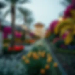 Exploring the Location and Significance of Miracle Garden in Dubai Introduction