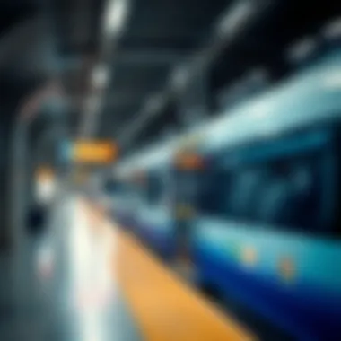 Impact of Metro Accessibility on Real Estate Development Infographic detailing the impact of metro accessibility on real estate.