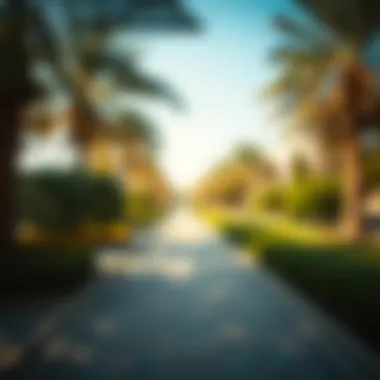 Notable Exploring the Parks of Dubai: A Haven for Nature and Leisure Notable Exploring the Parks of Dubai: A Haven for Nature and Leisure