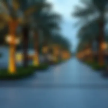 Exploring the Parks of Dubai: A Haven for Nature and Leisure Summary Exploring the Parks of Dubai: A Haven for Nature and Leisure Summary