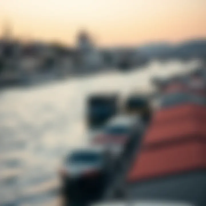 Economic activities connected to the Danube River, including trade