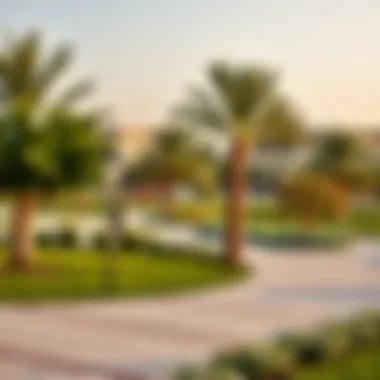 Community Park in Al Falah New Community park in Al Falah New featuring green spaces and recreation areas