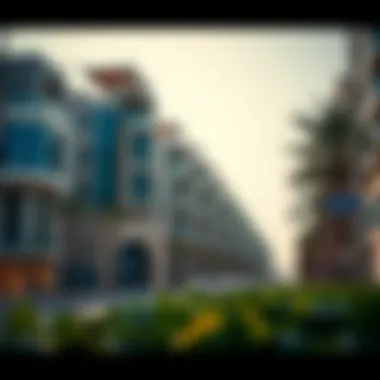 Real estate properties surrounding Mohammed Bin Zayed Street