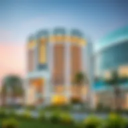 Illustration representing healthcare and real estate in Dubai